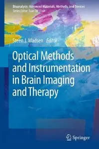 Optical Methods and Instrumentation in Brain Imaging and Therapy 