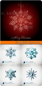 Snowflakes design vector