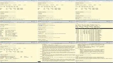 Study Guide for LPIC-2 Exams 201 and 202 Training Video