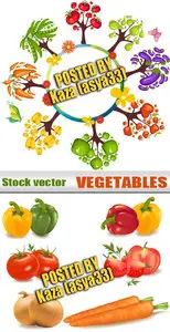 Vegetables vector