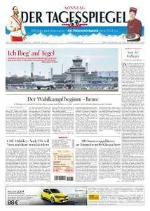 Der Tagesspiegel - 20 November 2016