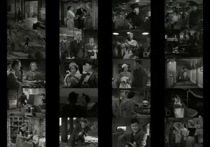 The Lady Takes a Sailor (1949)