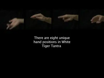 Steve P. - White Tiger Tantra