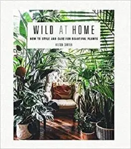 Wild at Home: How to style and care for beautiful plants