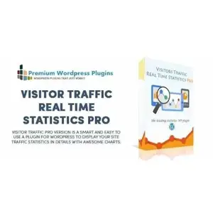 Visitor Traffic Real Time Statistics Pro v11.11