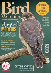 Bird Watching UK - October 2024