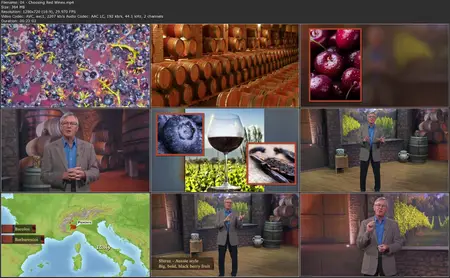 TTC Video - The Instant Sommelier: Choosing Your Best Wine