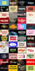 48 Fonts Bundle December 2024