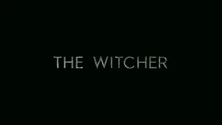 The Witcher S03E08