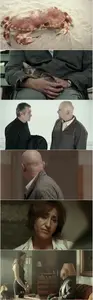 The Investigator (2008) A nyomozó [Dual Audio]