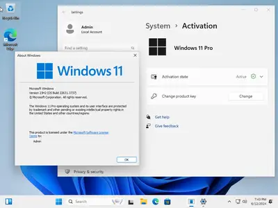 Windows 11 Pro 23H2 Build 22631.3737 (No TPM Required) Preactivated Multilingual June 2024
