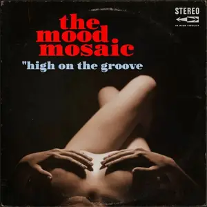 VA - The Mood Mosaic - High On The Groove (2026)