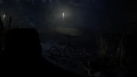 Forest 6174 (2025)