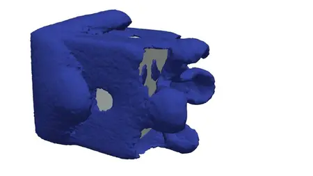 Hands-On CFD Analysis Using Open-Source Tools