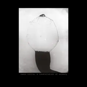 Vasco Trilla - A Constellation of Anomaly (2023) [Official Digital Download 24/48]