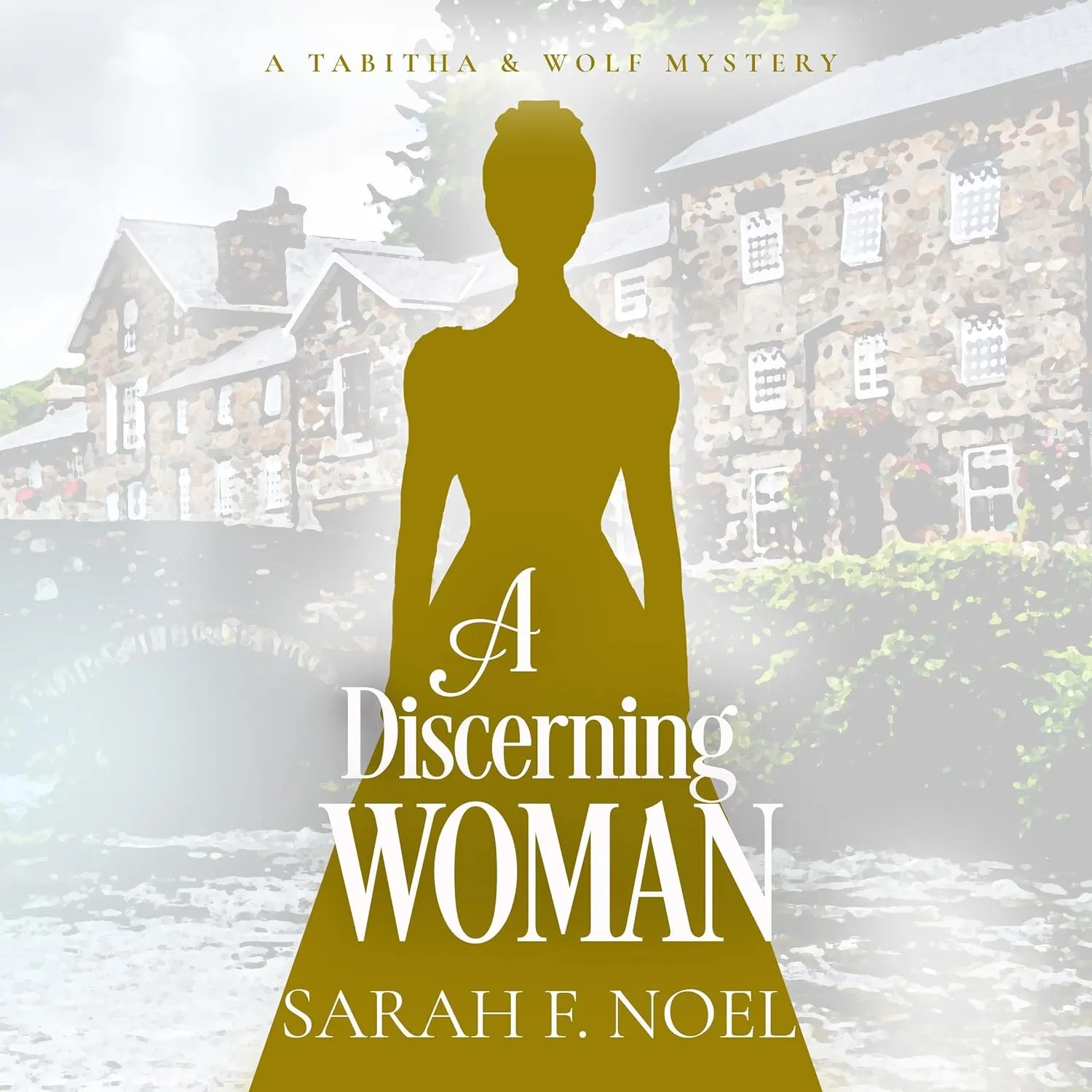 A Discerning Woman: A Historical Romance Mystery