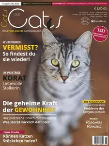 Our Cats - Juni 2025