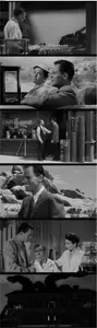 Tarantula (1955) [w/Commentary]