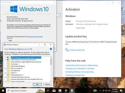 Windows 11 24H2 (No TPM Required) & Windows 10 22H2 AIO 32in1 Preactivated February 2025