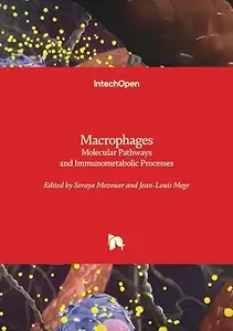 Macrophages: Molecular Pathways and Immunometabolic Processes