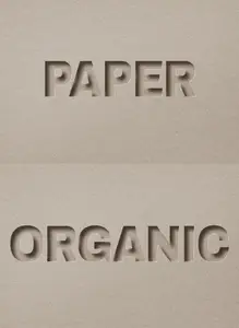 AS - Paper Cut Editable Text Effect 447310443