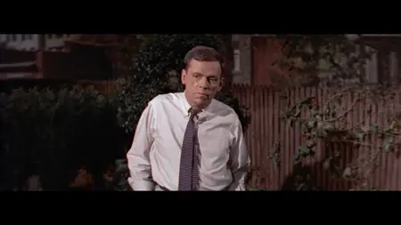 The Seven Year Itch (1955)