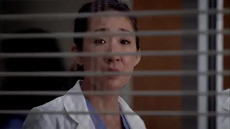 Grey's Anatomy S08E17