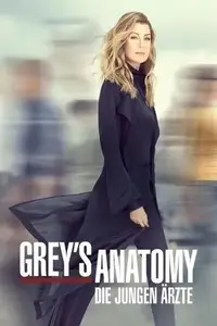 Grey's Anatomy S08E17