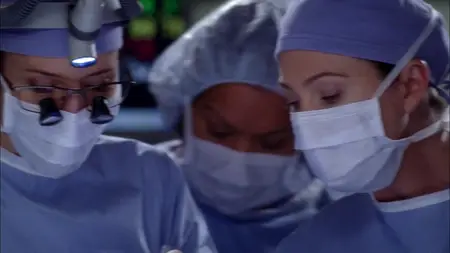 Grey's Anatomy S08E17