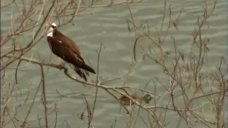Border Wars SE0201 Death on the Rio Grande