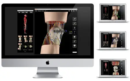 Knee Pro III with Animations v3.2.2 Mac OS X