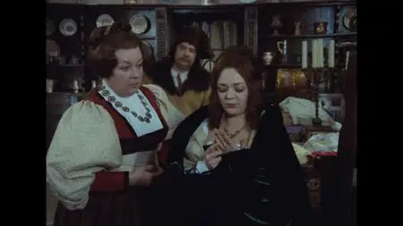 Three Wishes for Cinderella / Tri orísky pro Popelku (1973)