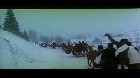 The Axe / Baltagul (1969)