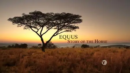 PBS Nature - Equus Story of the Horse Part 1: Origins (2019)