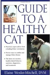 Guide to a Healthy Cat [Repost]