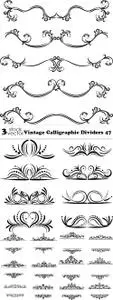 Vectors - Vintage Calligraphic Dividers 47