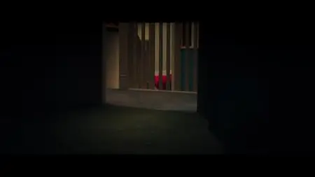 In Fabric (2019)