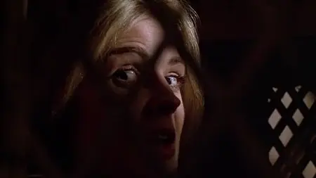 La fine del mondo nel nostro solito letto in una notte piena di pioggia / A Night Full of Rain (1978)