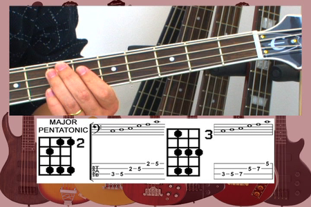 Over 50 Common and Exotic Scales and Modes For Bass
