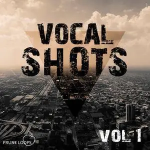 Prune Loops Vocals Shots Vol 1 WAV MiDi