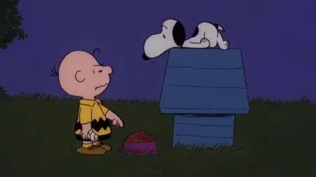 Snoopy, Come Home (1972)
