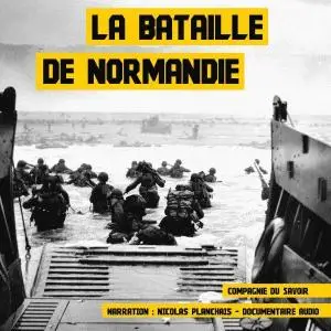 John Mac, "La bataille de Normandie"