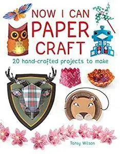 Now I Can Paper Craft: 20 Hand-Crafted Projects to Make