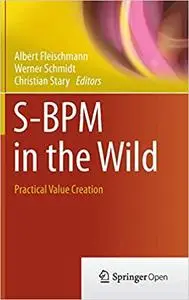 S-BPM in the Wild: Practical Value Creation