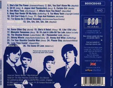 Wayne Fontana & The Mindbenders - Wayne Fontana & The Mindbenders/It's Wayne Fontana & The Mindbenders (2002)