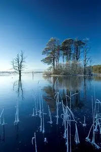 World In Photo 235