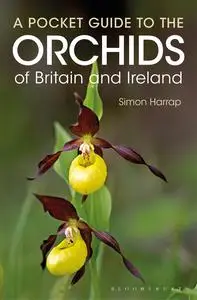 Pocket Guide to the Orchids of Britain and Ireland (Bloomsbury Naturalist)