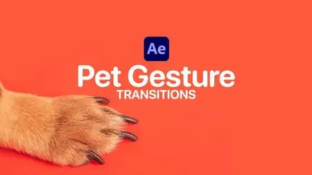 Pet Gesture Transitions for After Effects 47367361