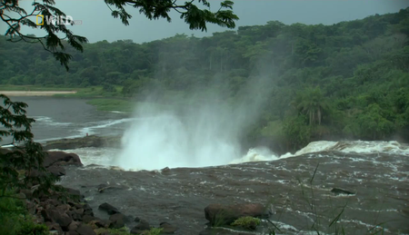 National Geographic - Wild Congo (2014)