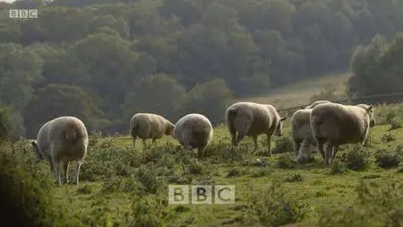 BBC - Paul O'Grady's Working Britain (2013)